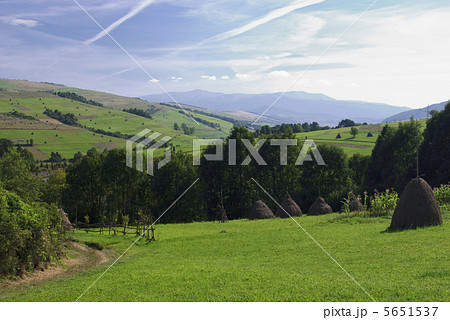 Raral landscape with road and fence 5651537