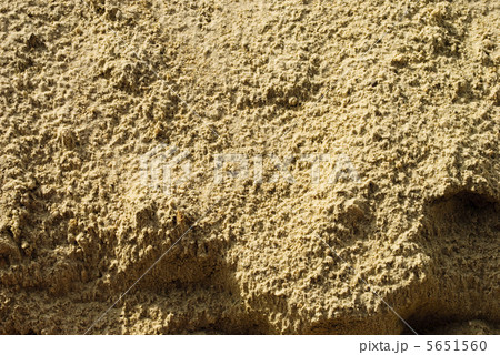Texture of sand after rain 5651560