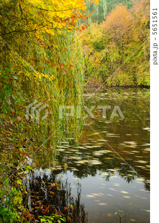 Autumn lake 5651561
