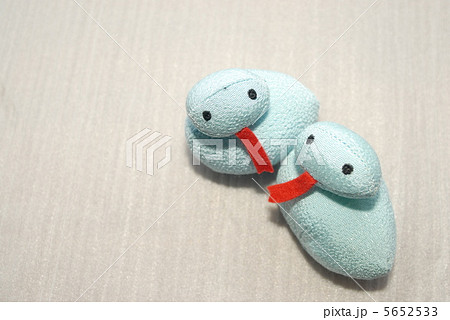 しろへび 5652533