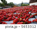 日干し赤トウガラシ 5653312