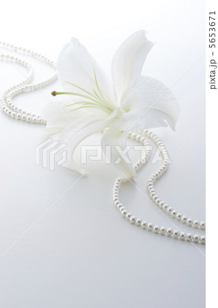 ユリ ユリ 5653671