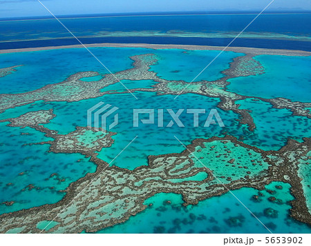 グレートバリアリーフ オーストラリア観光 グレートバリアリーフ オーストラリア観光 5653902
