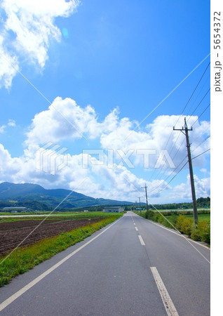 この長い一本道 この長い一本道 5654372
