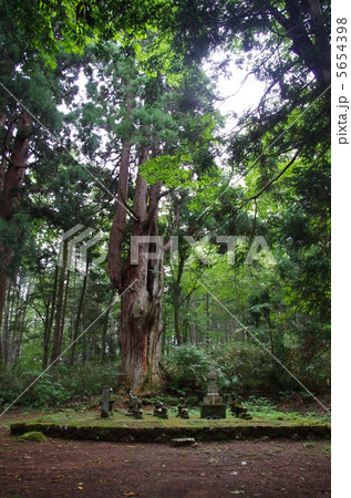 戸隠神社 宝篋印塔 戸隠神社 宝篋印塔 5654398