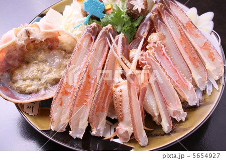 松葉蟹 5654927