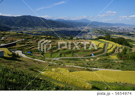 信州姨捨の棚田の秋 5654974