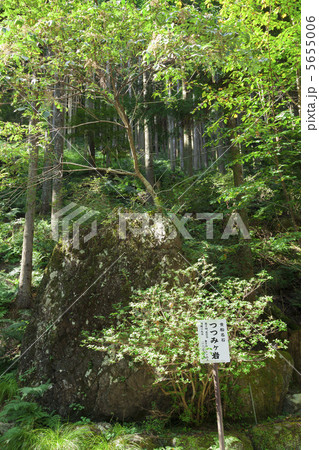 つつみケ岩 5655006