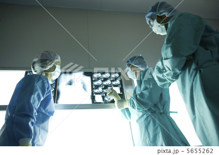 レントゲンを見るの外科医 レントゲンを見るの外科医 5655262