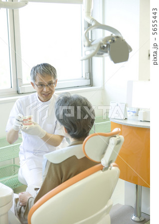 歯型を見せて話す歯科医師 5655443