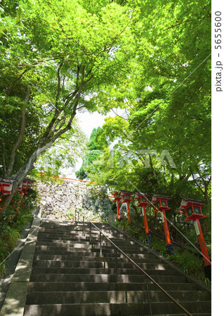 鞍馬寺の石段 5655600
