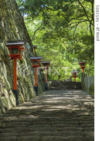 鞍馬寺の石段 5655601