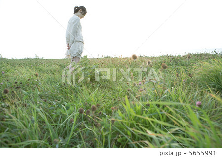 夕暮れの草原にたたずむ女性 5655991