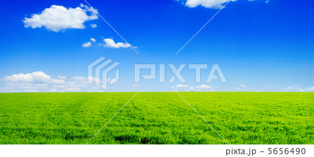 field 5656490