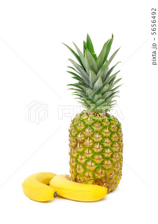 fruits 5656492