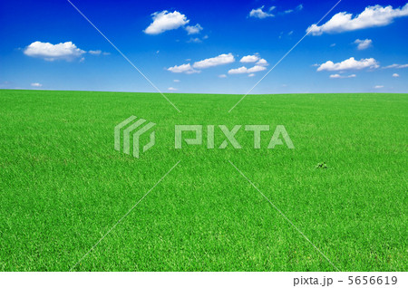 green field 5656619