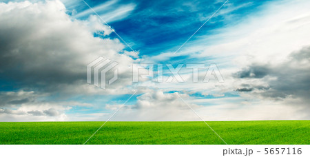 meadow meadow 5657116