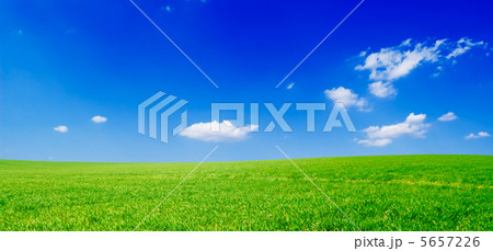 fields 5657226