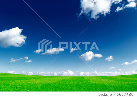 fields fields 5657436