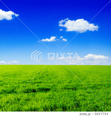 sky 5657754