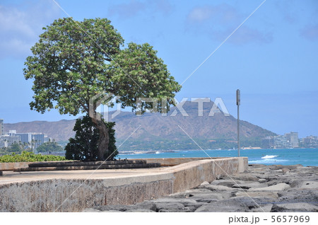 カカアコ・ウォーターフロント・パーク 5657969