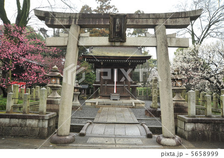 京都 城南宮の芹川神社 京都 城南宮の芹川神社 5658999