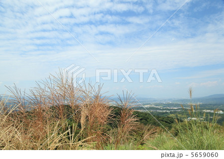 若草山初秋 5659060