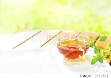 ハーブティー 5659381