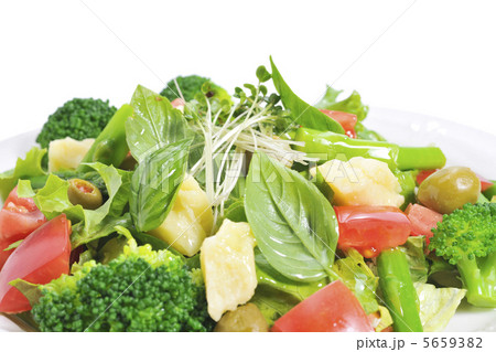 サラダ サラダ 5659382
