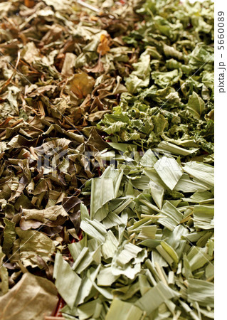 野草茶 野草茶 5660089