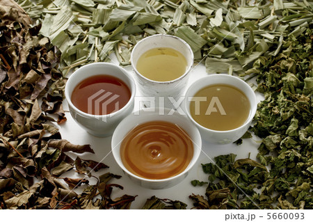 野草茶 野草茶 5660093