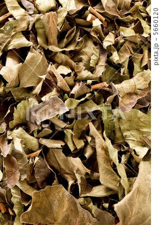 柿の葉茶 柿の葉茶 5660120