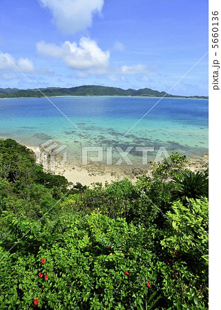 奄美大島の海 奄美大島の海 5660136