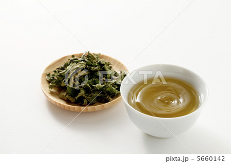 桑茶 5660142
