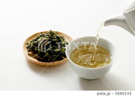 桑茶 桑茶 5660143