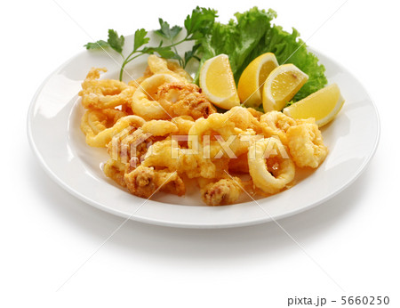 フライドカラマリ 5660250