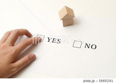 イエス・ノーの選択 イエス・ノーの選択 5660291