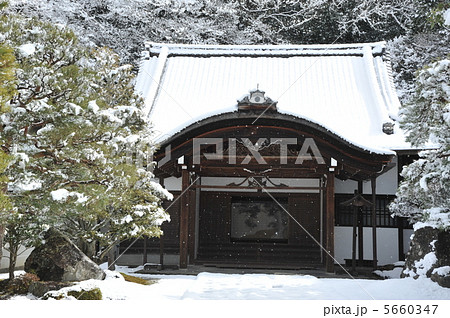 京都　南禅寺　雪の大玄関 5660347