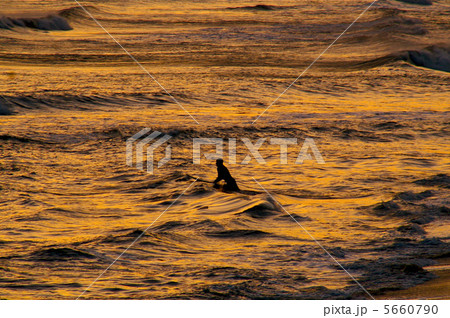 金波サーファー 金波サーファー 5660790