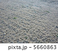 砂浜 5660863