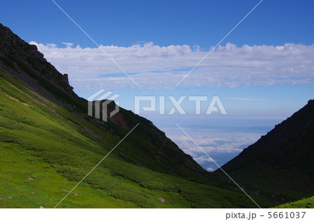 乗鞍岳　畳平　お花畑から 5661037