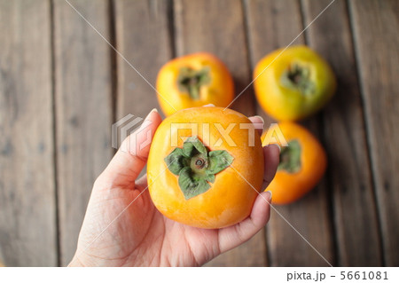 種無し柿を持っている女性の左手 種無し柿を持っている女性の左手 5661081