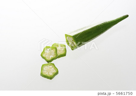 オクラ オクラ 5661750