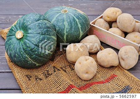 カボチャとジャガイモ(北海道産) 5662597