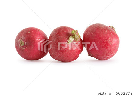 Radish On White Radish On White 5662878