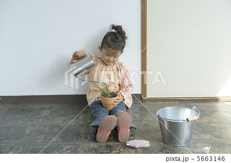 植木鉢にじょうろで水を遣る女の子 5663146