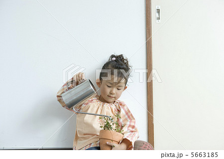 植木鉢にじょうろで水を遣る女の子 5663185