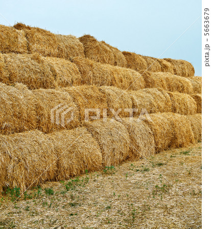 Large haystacks 5663679