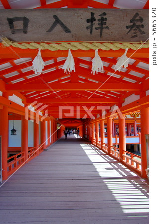 厳島神社 5665320