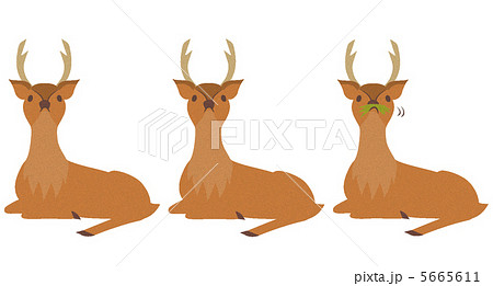 奈良の鹿3匹 1匹は食いしん坊 のイラスト素材 5665611 Pixta